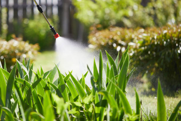 24/7 Emergency Mosquito Control experts in Lexington, TN