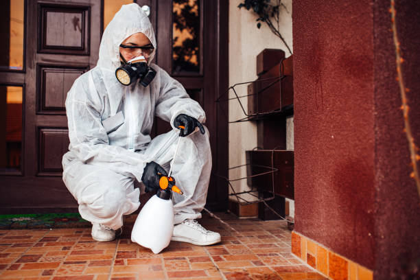 Reliable Mosquito Control contractor in Lexington, TN by Show Me Pest Control