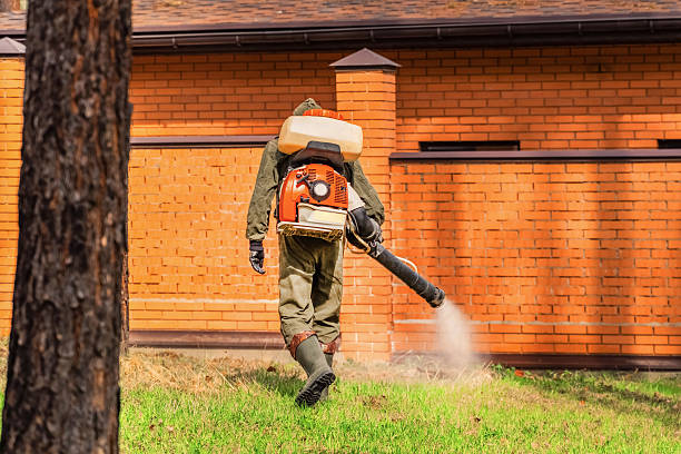Top rated local Mosquito Control specialists in Lexington, TN